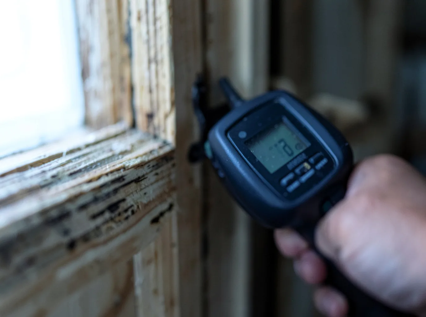 Commercial Water Damage Restoration in Bullhead City, AZ